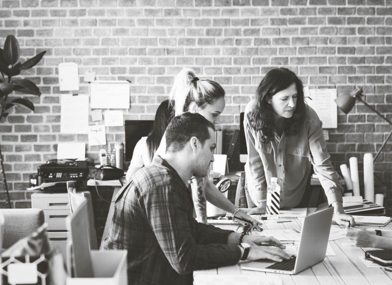 Budget categorization workshop in progress with participants analyzing financial data